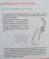 05 - Des plantes exotiques introduites au 19e (2).jpg